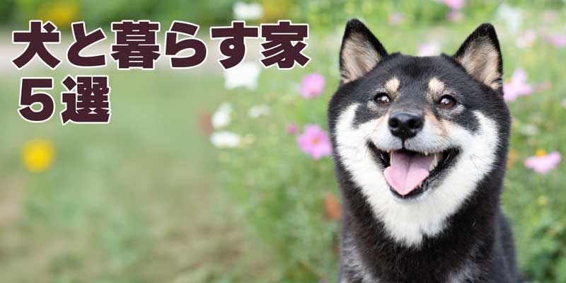 犬と暮らす家５選