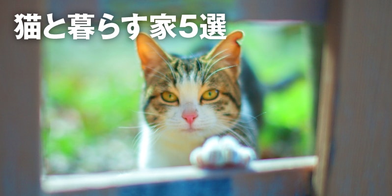 猫と暮らす家５選